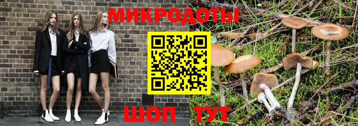 наркота  Вход с VPN  Мичуринск  Псилоцибиновые грибы Psilocybine cubensis 